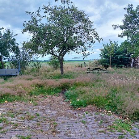 Apartamento Logeerruimte In Gerenoveerde Boerderij In Wachtum Exterior foto