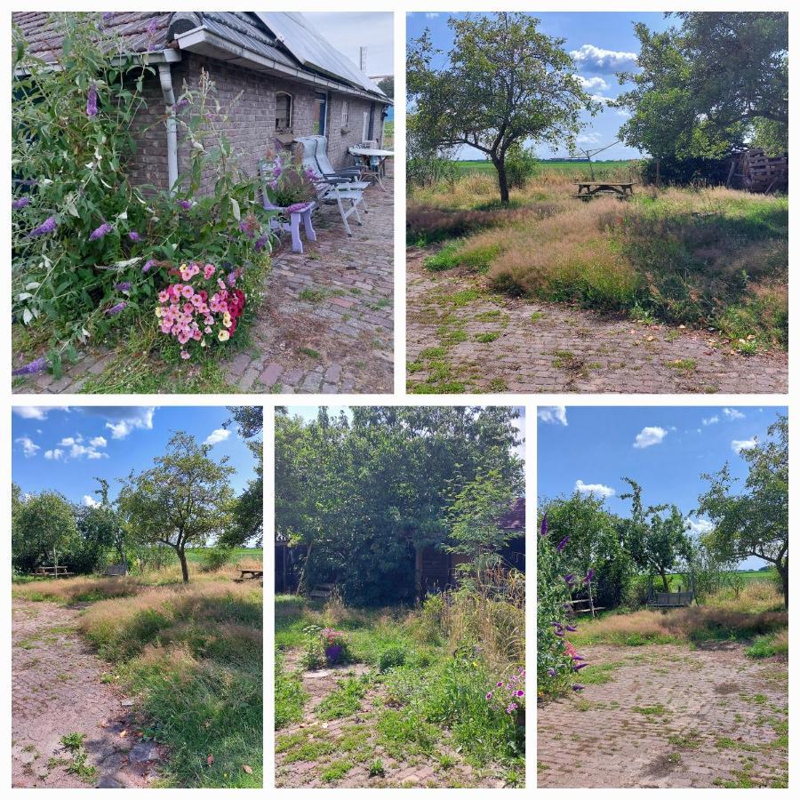 Apartamento Logeerruimte In Gerenoveerde Boerderij In Wachtum Exterior foto