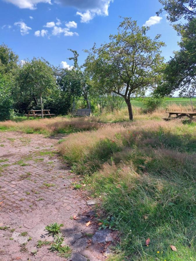 Apartamento Logeerruimte In Gerenoveerde Boerderij In Wachtum Exterior foto